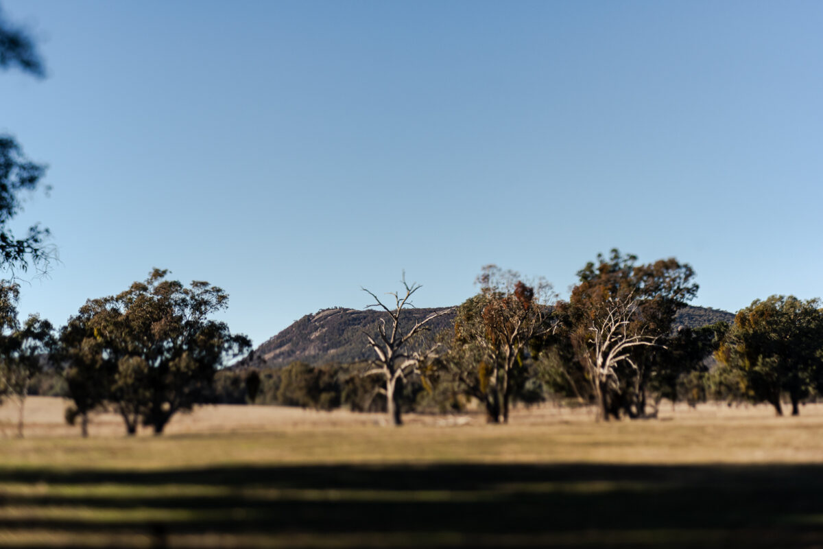Sarah & Tim; A Magical High Country Elopement