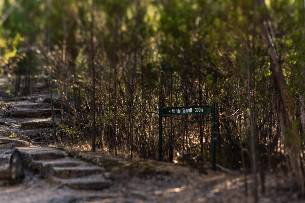 Sarah & Tim; A Magical High Country Elopement