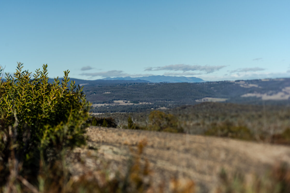 Sarah & Tim; A Magical High Country Elopement